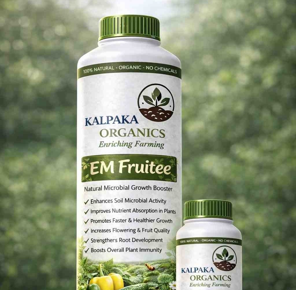  Em-Fruitee Image