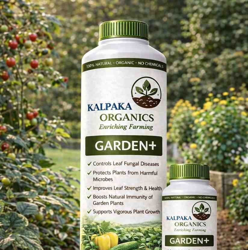  Garden⁺ Image