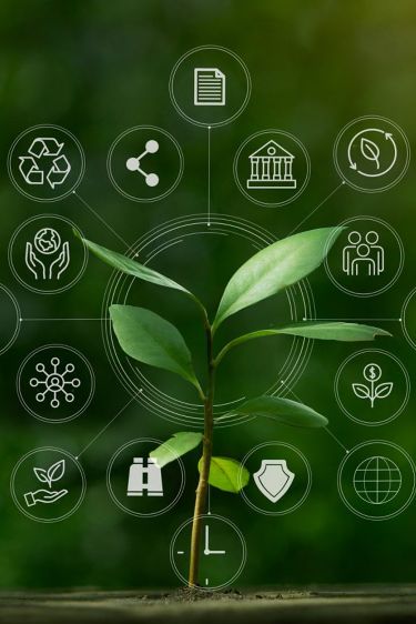 Kalpaka Organics Overview